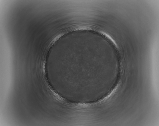 X0000111120777200907141150