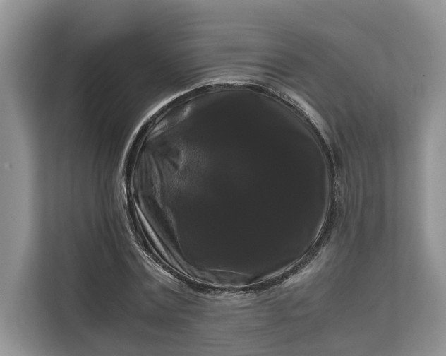 X0000111120779200907141150