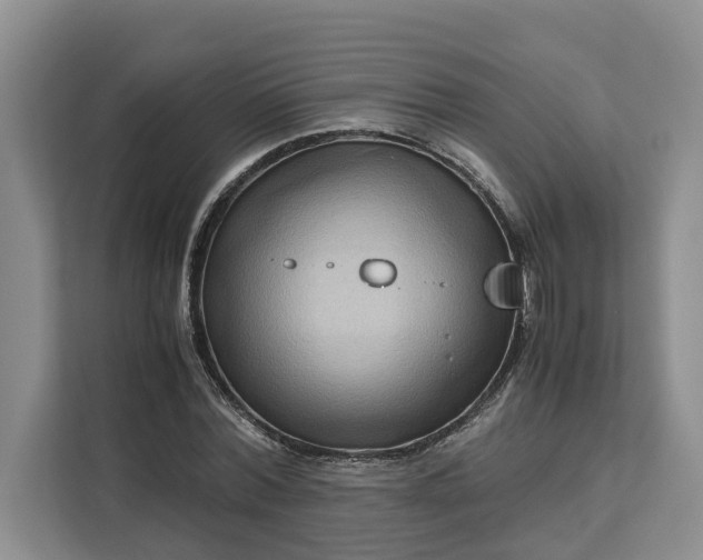 X0000111120780200907141150