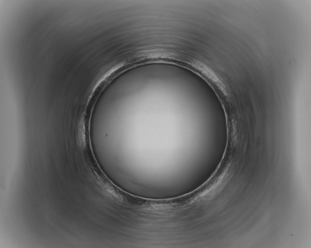 X0000111120782200907141150