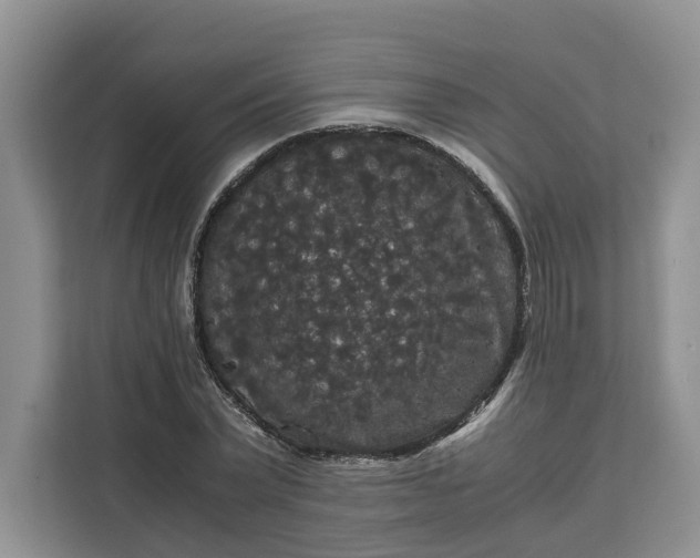 X0000111120783200907141150