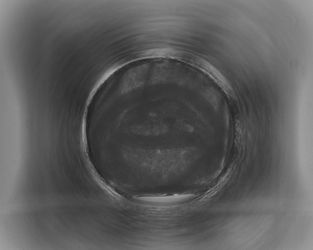 X0000111120788200907141150