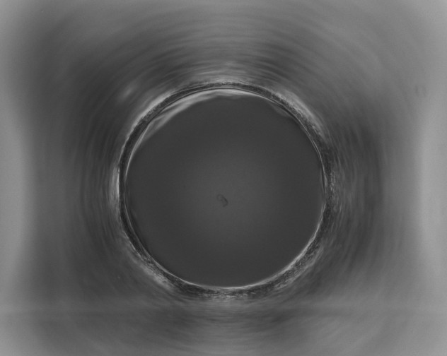 X0000111120790200907141150