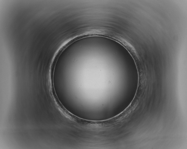 X0000111120792200907141150