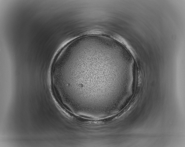 X0000111120795200907141150