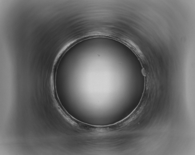 X0000111120796200907141150