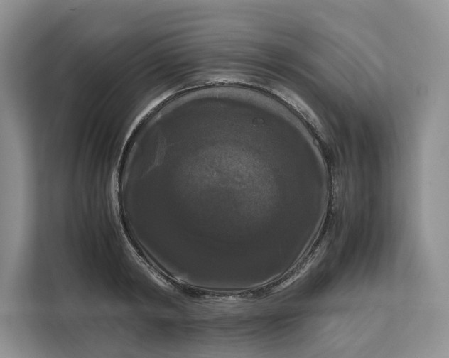 X0000111120798200907141150