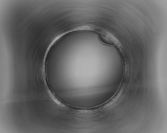 X0000111120800200907141150