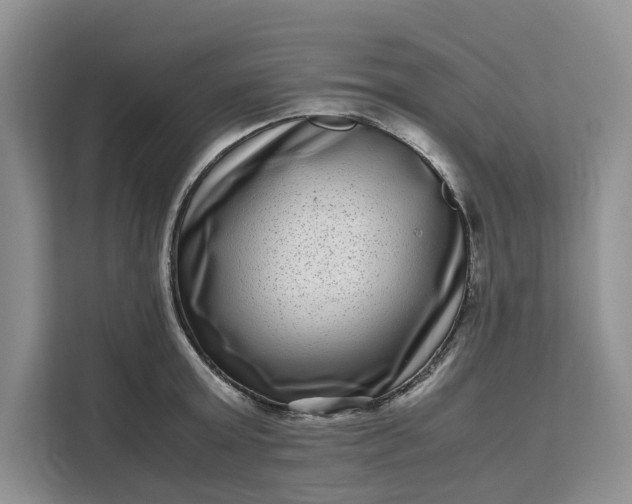 X0000111120803200907141149