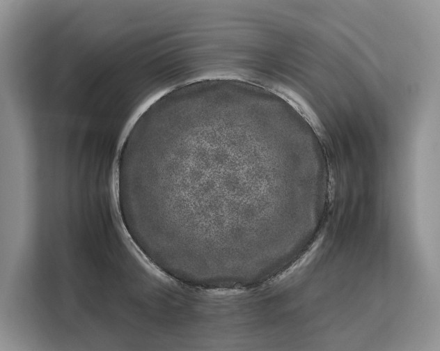 X0000111120804200907141149