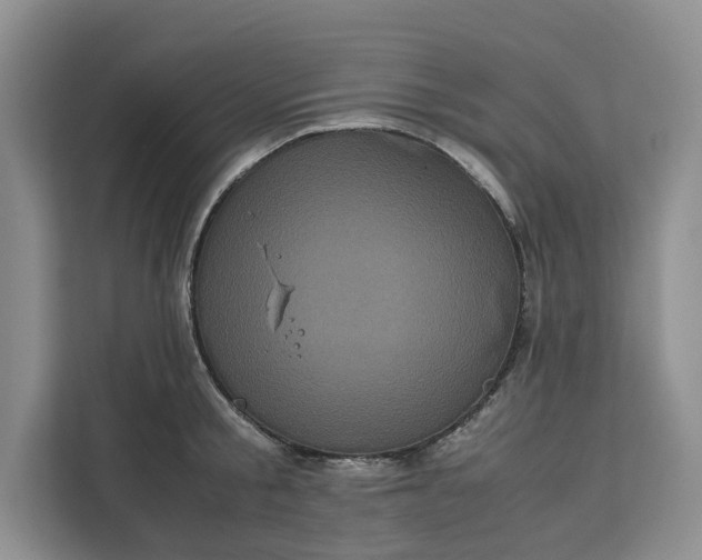 X0000111120805200907141149