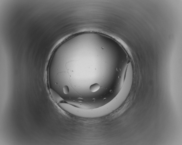 X0000111120807200907141149