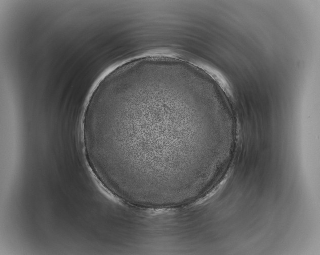 X0000111120808200907141149