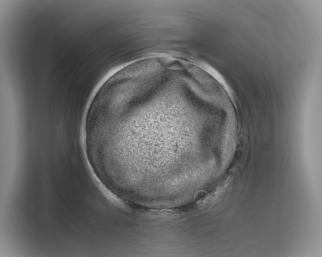 X0000111120811200907141149