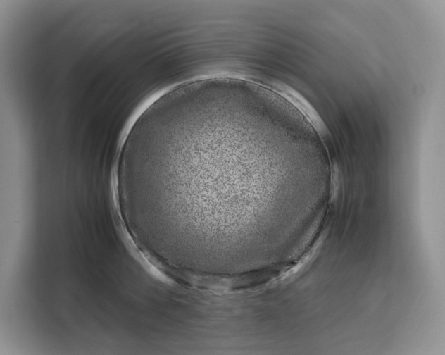 X0000111120812200907141149