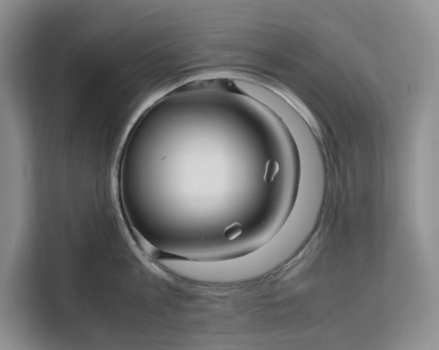 X0000111120813200907141149