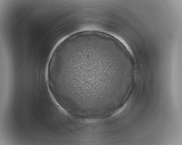 X0000111120815200907141149