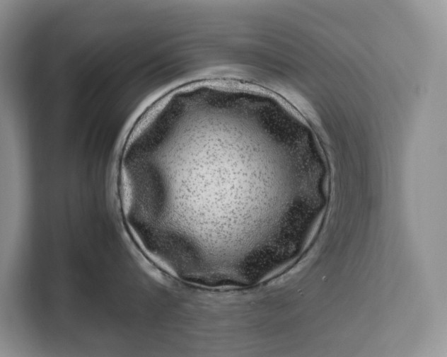 X0000111120816200907141149