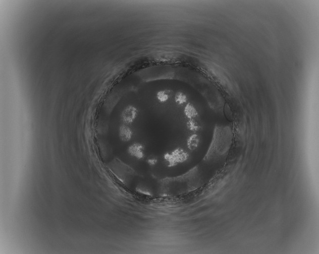 X0000111120817200907141149