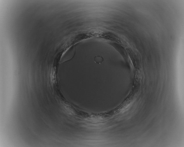 X0000111120818200907141149