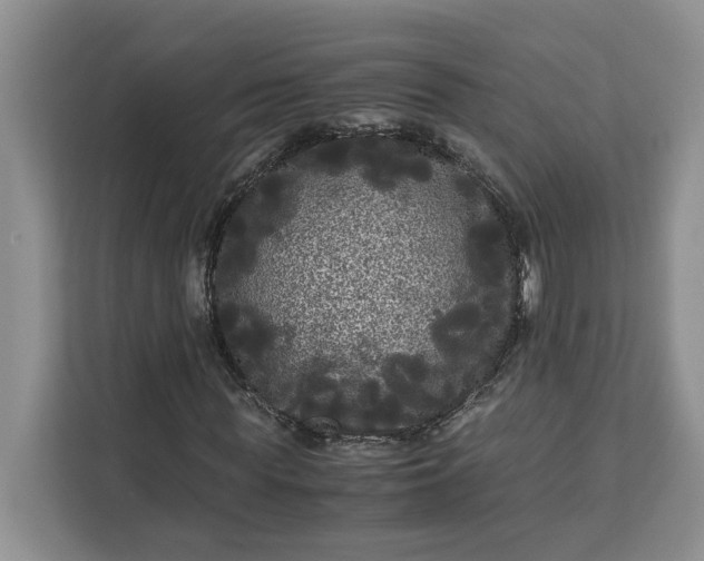 X0000111120819200907141149