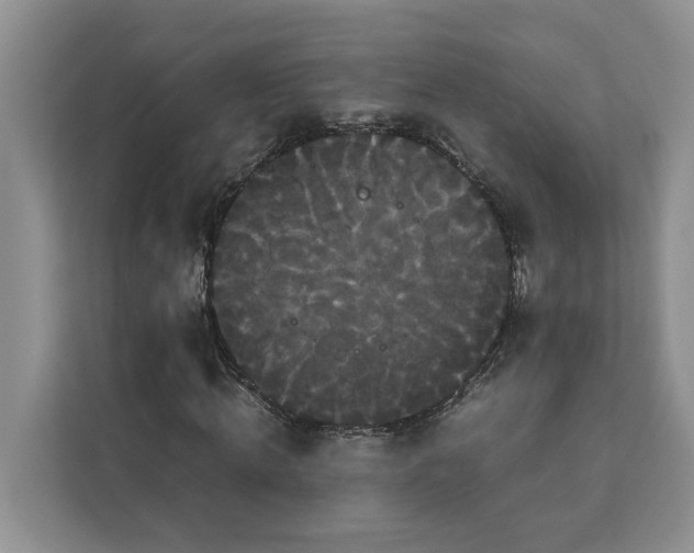 X0000111120820200907141149