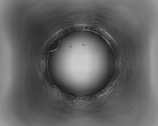 X0000111120821200907141149