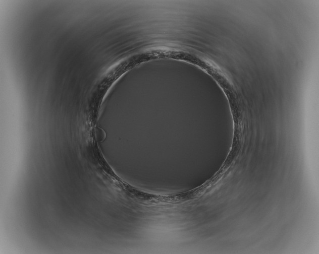 X0000111120822200907141149