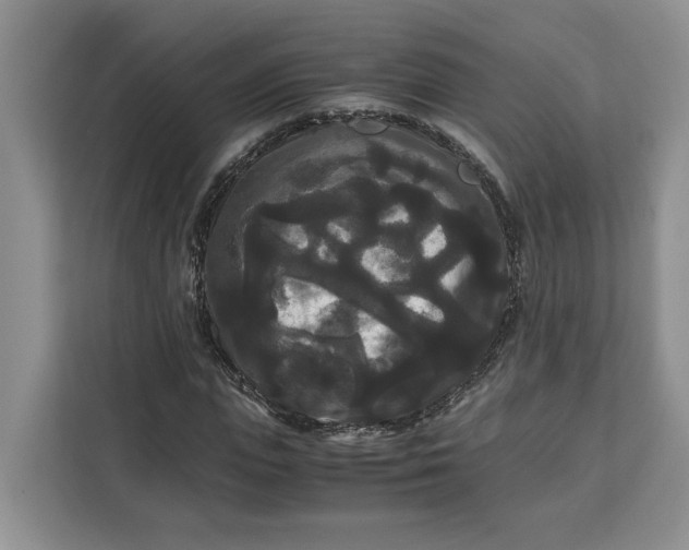 X0000111120823200907141149