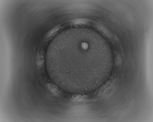 X0000111120824200907141149