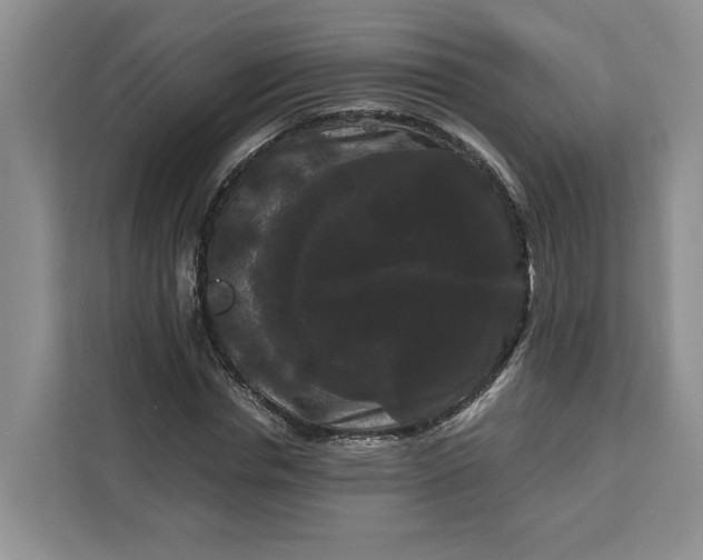 X0000111120826200907141149