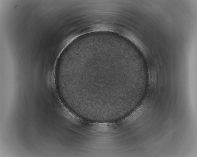 X0000111120828200907141149