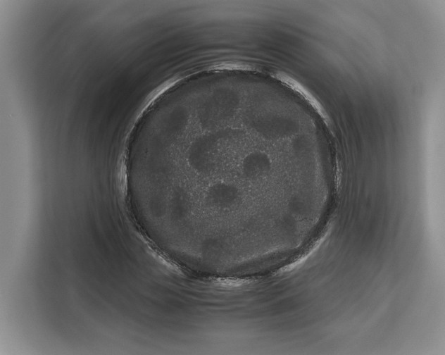 X0000111120829200907141149