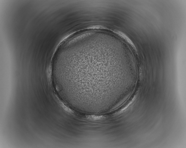 X0000111120831200907141149