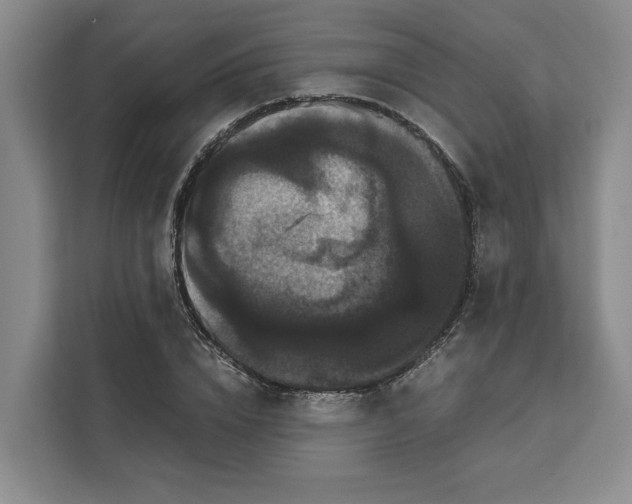 X0000111120832200907141149