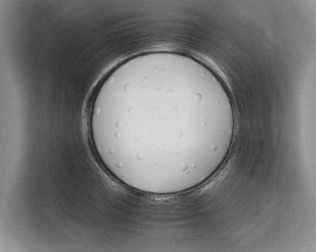 X0000111120835200907141149