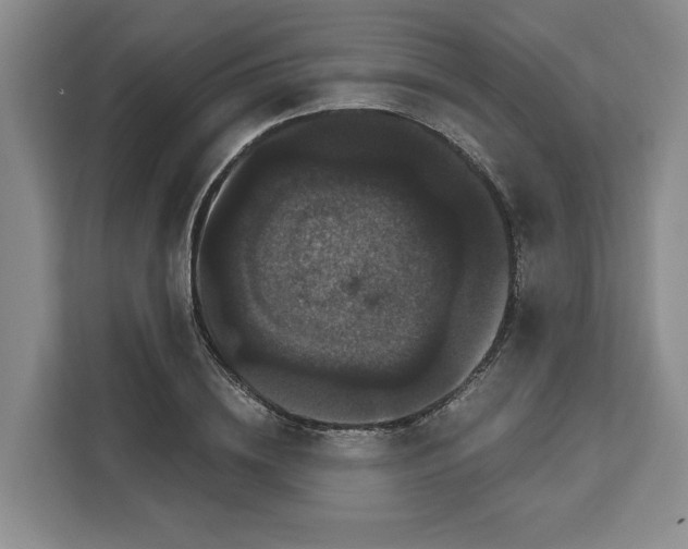 X0000111120836200907141149