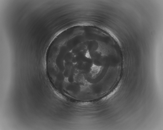 X0000111120837200907141149