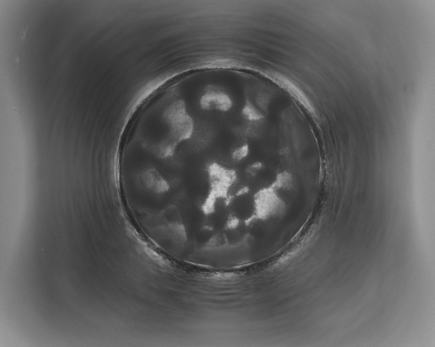 X0000111120839200907141149