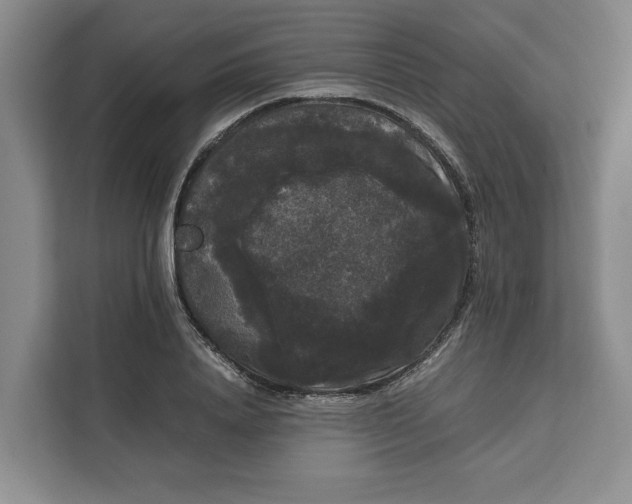 X0000111120840200907141149