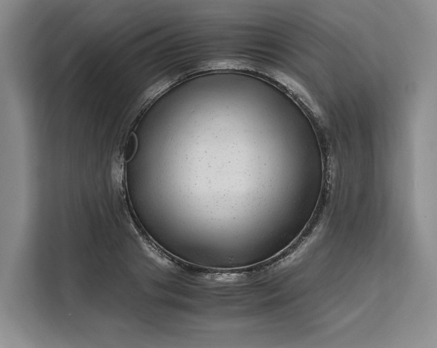 X0000111120841200907141149