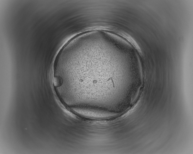 X0000111120844200907141149