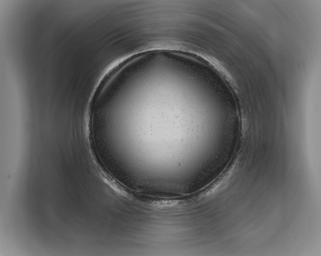 X0000111120846200907141149