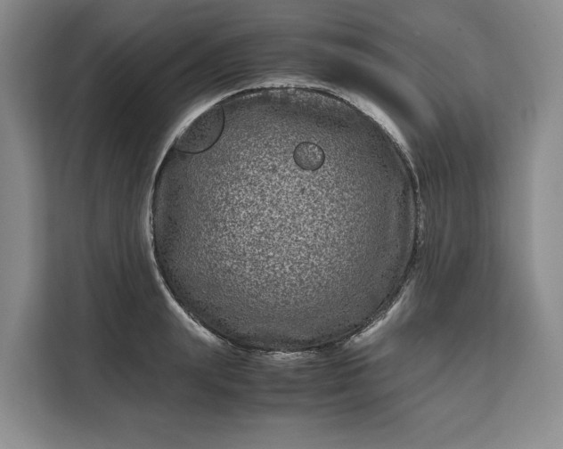 X0000111120847200907141149