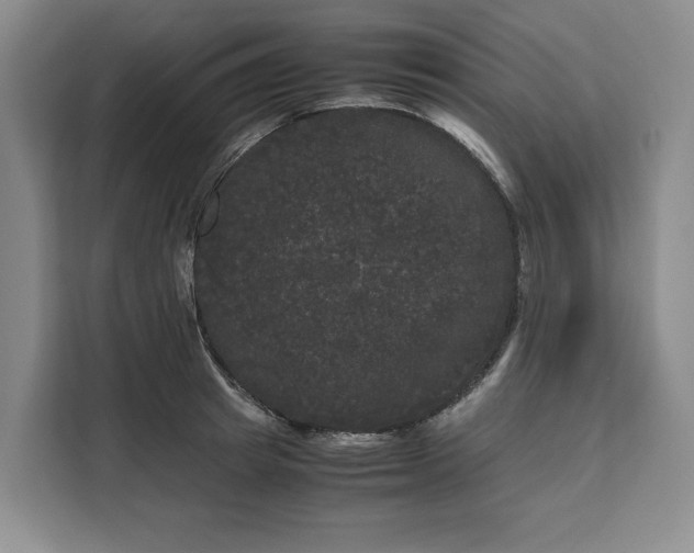 X0000111120849200907141149