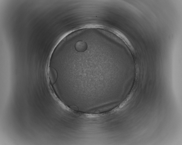 X0000111120852200907141149