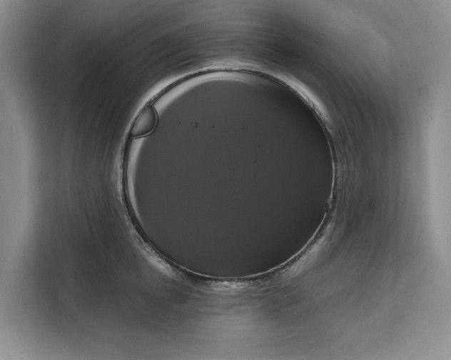 X0000111120854200907141149