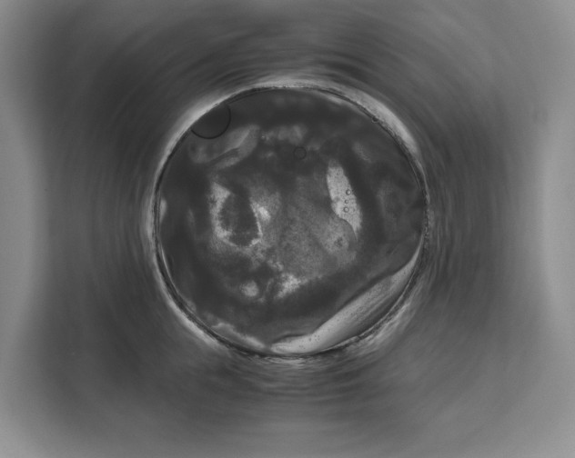 X0000111120855200907141149