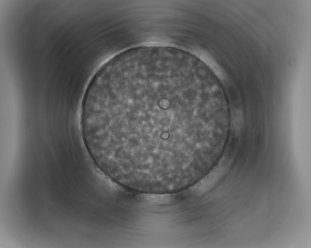 X0000111120856200907141149