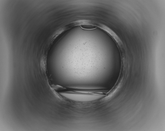 X0000111120857200907141149